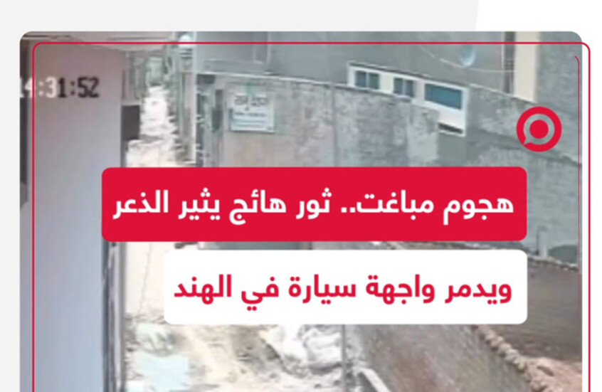 ثور هائج يثير الفوضى في الهند