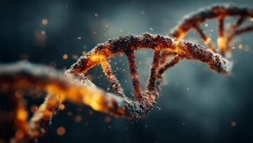 متلازمة فيلان-ماكديرميد المرتبطة بالتوحد قد تكون أكثر شيوعًا مما تشير إليه التقديرات السابقة