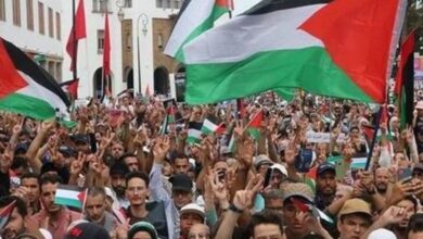 بالفيديو..احتجاجات عربية دولية مناهضة للعدوان الاسرائيلي على غزة