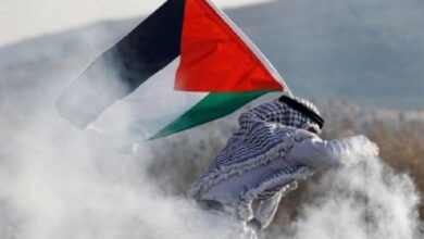 سويسرا.. إغلاق معهد أبحاث بسبب منشور يدعم فلسطين