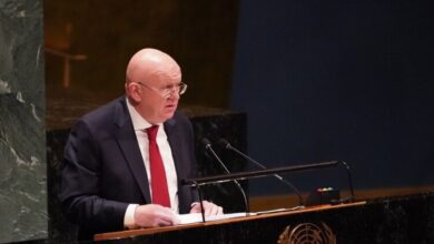 مندوب روسيا: أقل ما يجب علينا القيام به، قبول عضوية فلسطين بالأمم المتحدة