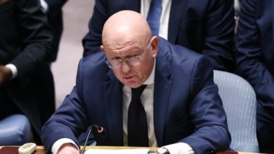 مندوب روسيا في مجلس الأمن: الهجوم الإيراني جاء نتيجة لعدم تحرك المجلس ردًا على هجوم