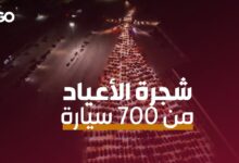 الميادين Go | 700 سيارة اصطفت لتشكل شجرة الميلاد