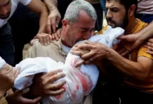 الصحة: 39 شهيداً و64 مصابًا في مجازر &Quot;إسرائيلية&Quot; بغزة | وكالة شمس نيوز الإخبارية - Shms News |