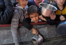 الصحة العالمية: سوء التغذية أودى بحياة عشرات الأطفال بغزة | وكالة شمس نيوز الإخبارية - Shms News |