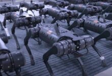 الصين تستعرض جيش من “الكلاب الآلية” القاتلة