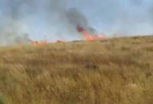 تضرر 75 دونماً من القمح جراء حريقين في بلدة الكرك الشرقي بريف درعا – S A N A