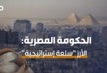 الميادين Go | الحكومة المصرية تصدر قراراً باعتبار &Quot;الأرز&Quot; سلعةً إستراتيجية، ما أسباب هذا القرار؟