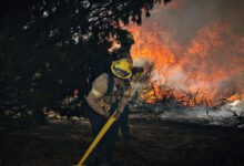 اخبار مترجمة :تُظهر خرائط Post Fire وPoint Fire أماكن انتشار حرائق الغابات في كاليفورنيا