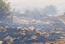 إخماد حريق كبير بين ثلاث قرى بالسويداء – S A N A
