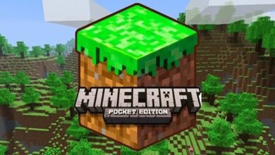 Minecraft