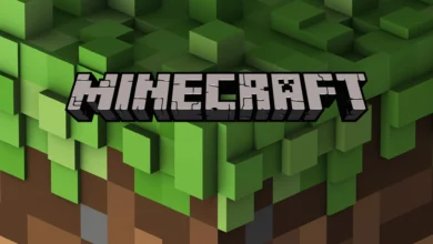 Minecraft