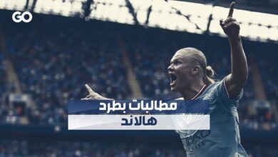 مشجعون إنكليز يريدون طرد اللاعب أرلينغ هالاند من الدوري الإنكليزي