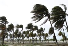 اخبار مترجمة :عاصفة بريل تشتد مع اقتراب العاصفة القاتلة من ساحل تكساس | أخبار المناخ