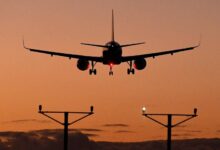 «إياتا»: ارتفاع الطلب على السفر الجوي يتجاوز 10 % في مايو