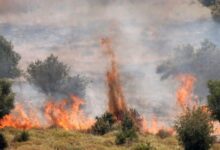 الشمال يحترق: مئات الدونمات مشتعلة نتيجة قصف حزب الله