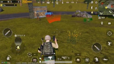 Pubg Mobile