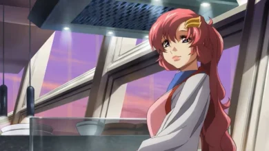 Mobile Suit Gundam Seed Freedom