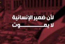 ومضات | لأنّ ضمير الإنسانية لا يموت...الاحتجاجات الطلّابية ضد الحرب على قطاع غزة مستمرة