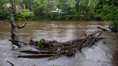 India Floods