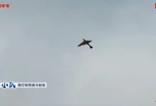 الصين تكشف عن درون على شكل طائر الحمام (فيديو)