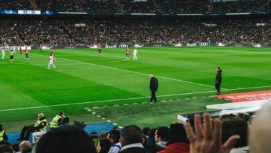 موعد مباراة نيوكاسل وبرايتون في الدوري الإنكليزي