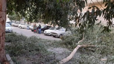 ورشات محافظة دمشق تستمر بإزالة الأشجار والأغصان وألواح الطاقة الشمسية المتساقطة جراء شدة الرياح