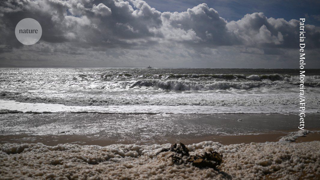 تنتشر الملوثات الكيميائية في محيطات العالم