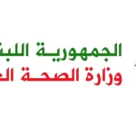 ٣ شهداء و ١٨ جريحا في بلدة حبوش
