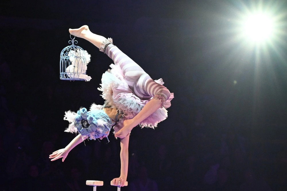 صورة توضيحية - يدعوك سيرك نيكولين في شارع تسفيتنوي إلى برنامج جديد