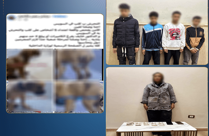 صورة توضيحية - مصر.. الأمن يكشف كواليس "اغتصاب الكلب"!