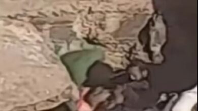 مصر.. تداول فيديو لفتاة و3 شباب يثير ضجة