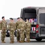 1774688258 26031101005260 Org jpg