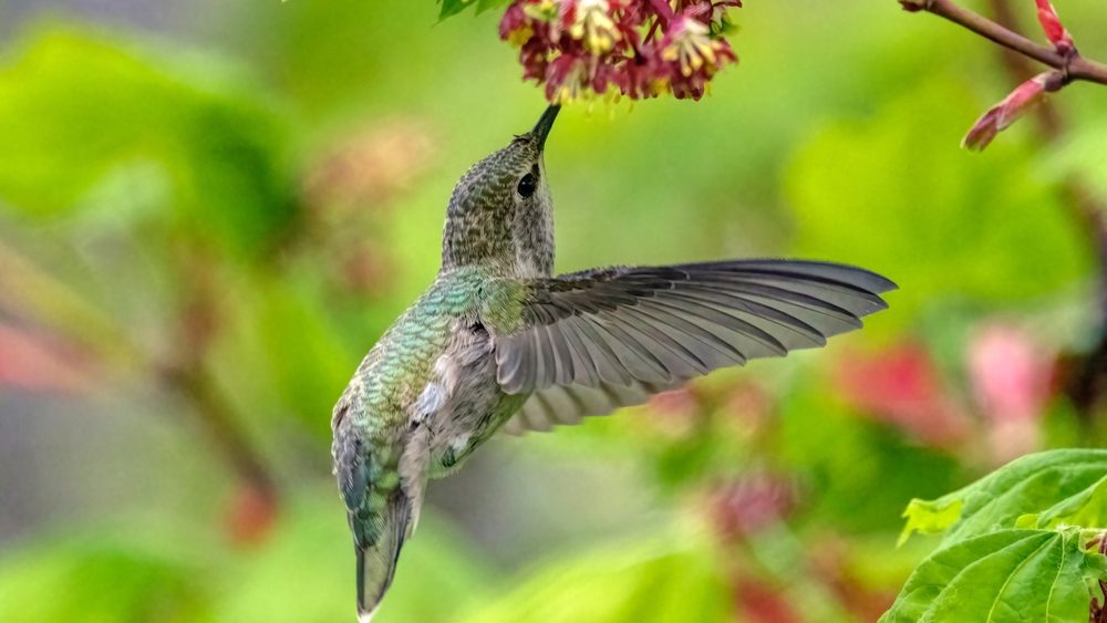 1774728023 d9032117a8cc187f85c7acbf2e35bd8dc5eb9e73 jpg