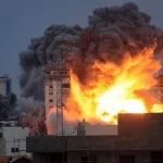 1774874717 26031101001466 Org jpg