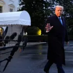 1774944023 25021101000236 Org jpg