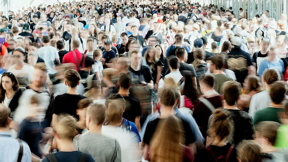 1774992622 4abd89a08d6d0e7c77406bfaae3dbd4157a8ec76 jpg