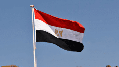 القاهرة تصعد لهجتها.. مصر تدين مخططات "إرهابية" ضد دول الخليج