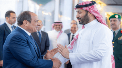 خبير مصري يكشف لـRT ما وراء زيارة السيسي للسعودية والبحرين وما علاقة "مسافة السكة"؟