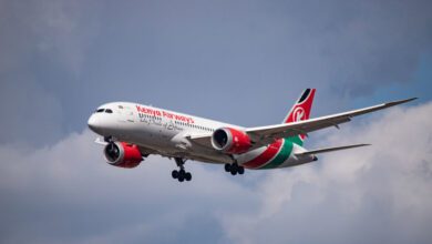 تقارير شركات الطيران الرائدة عن ارتفاع الطلب وسط أزمة الشرق الأوسط - RT Africa