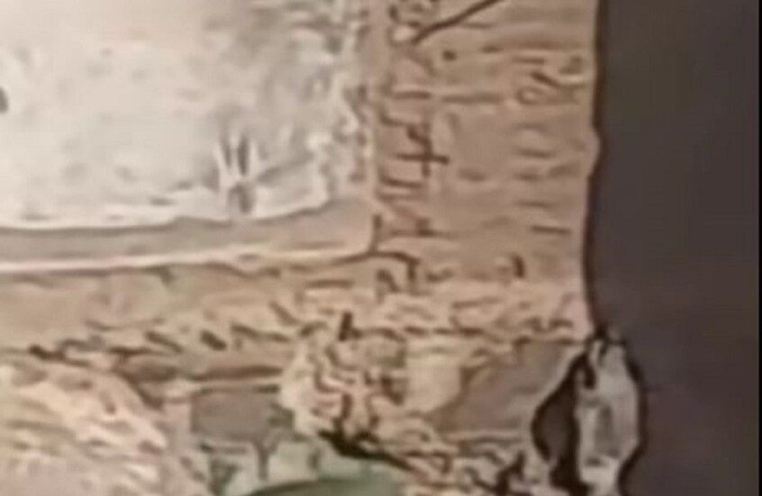 مصر.. تداول فيديو لفتاة و3 شباب يثير ضجة