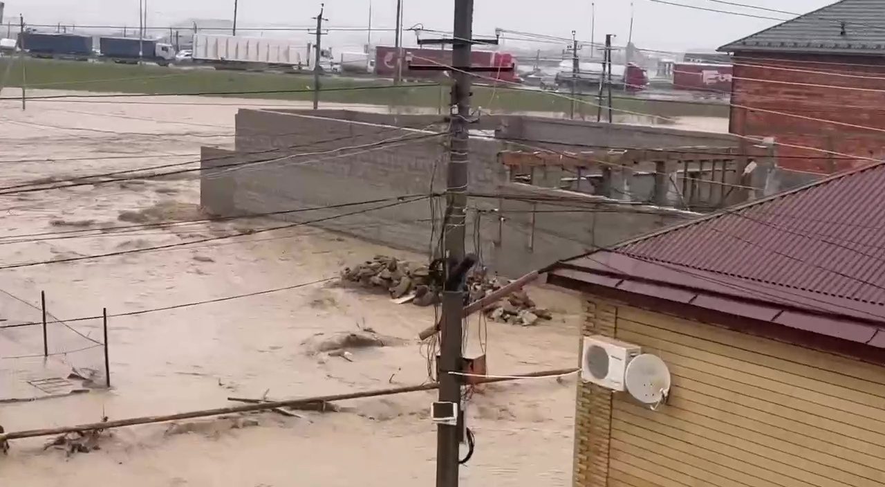 69ca3ca24c59b717ed65c7d6 jpg