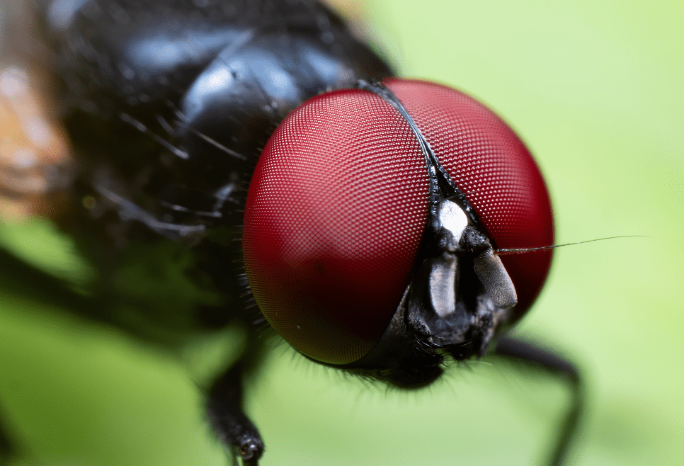 69ca58f34c59b715b07fc5eb PNG