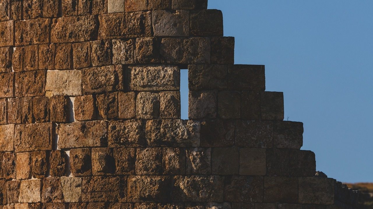 69cb6948423604201314b485 jpg