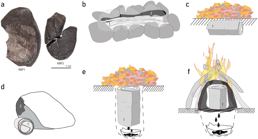تم علاج إنسان نياندرتال أيضًا براتنج البتولا - علماء الآثار
