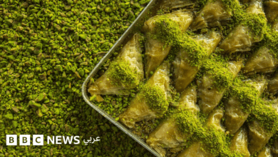 غازي عنتاب: المدينة التركية المبنية على "الذهب الأخضر"