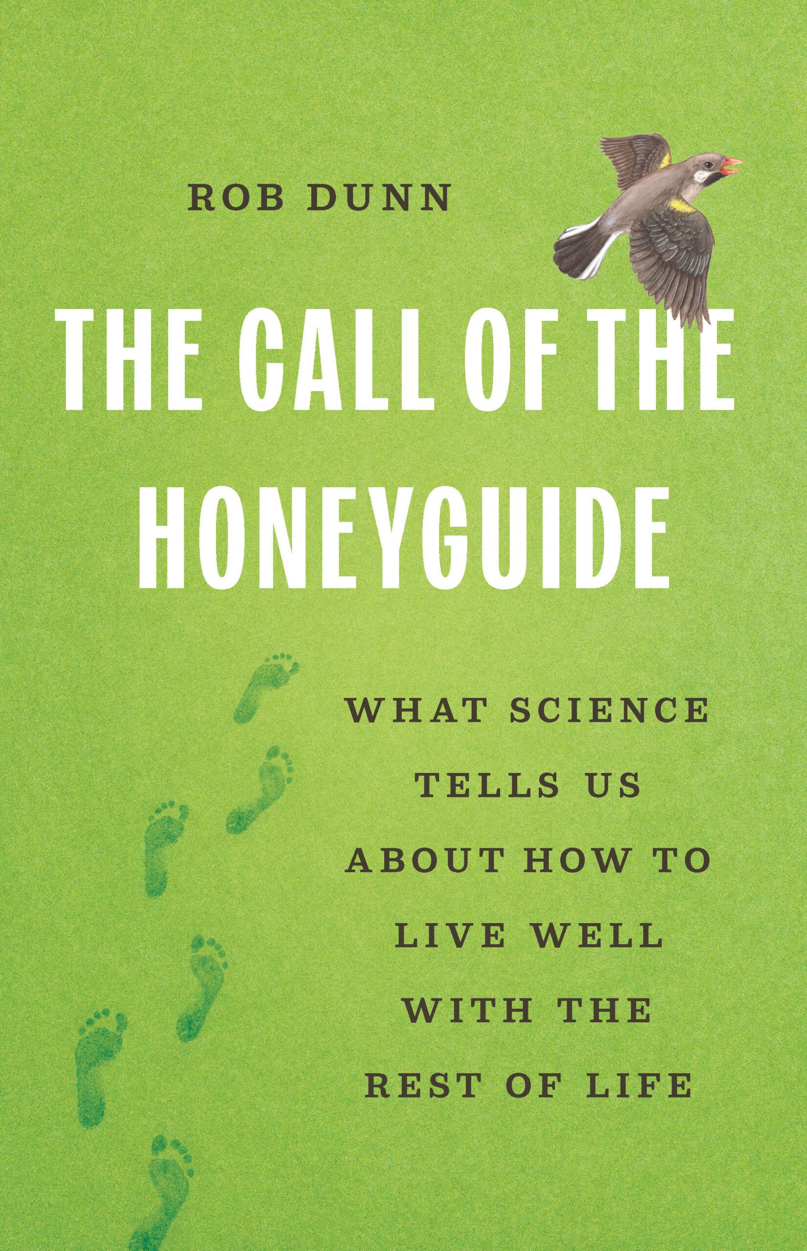 ‘It’s nature calling to humans, and humans deciding whether or not to reply’ Why we need to sta paying attention to our mutually beneficial relationships with other species