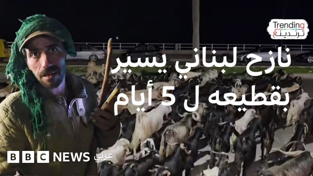 صورة توضيحية - النزوح يجبر راعياً لبنانياً على السير 5 أيام مع قطيعه هرباً من القصف