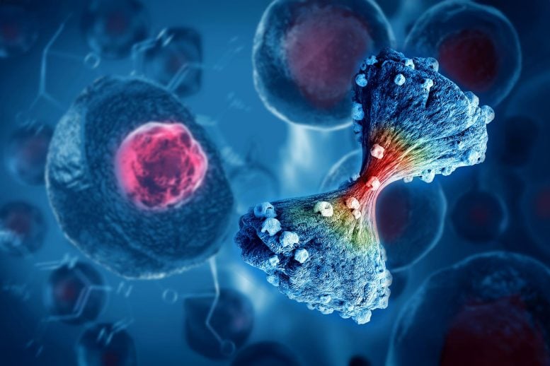 صورة توضيحية - نموذج الذكاء الاصطناعي الجديد يتنبأ بانتشار السرطان بدقة مذهلة