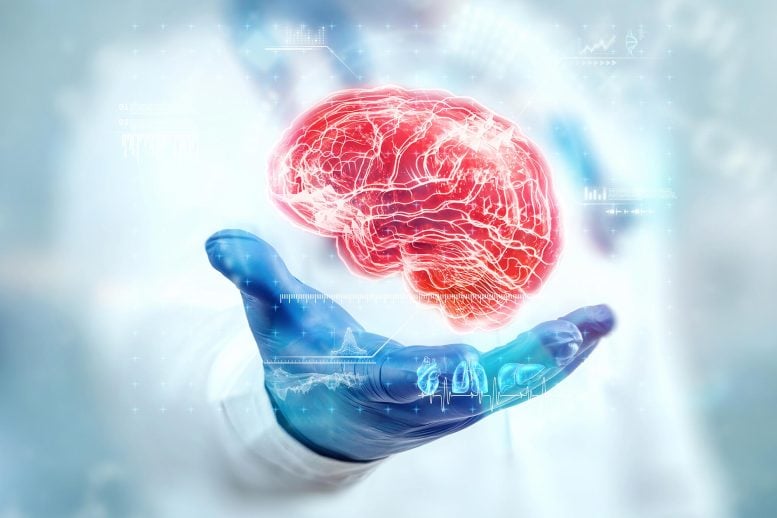 طبيب يفحص صورة ثلاثية الأبعاد للدماغ عن قرب